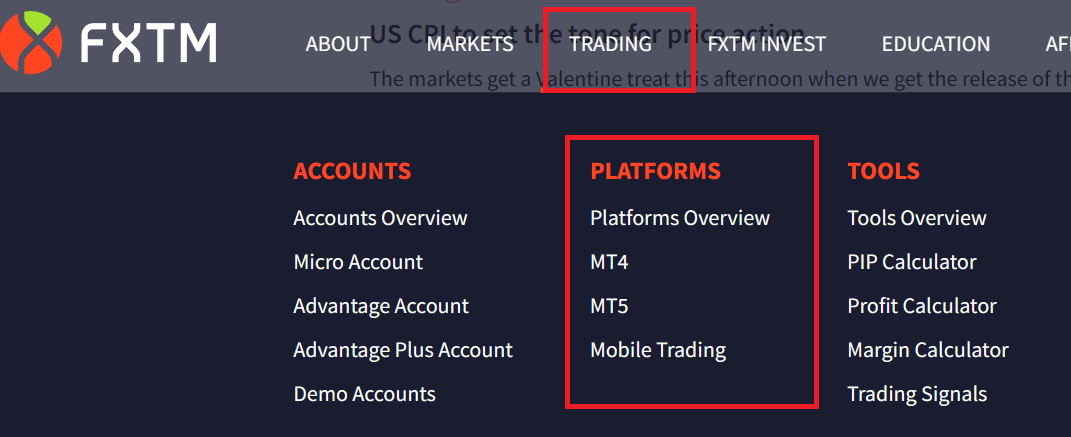 Forex Broker's Platforms example on FXTM's website